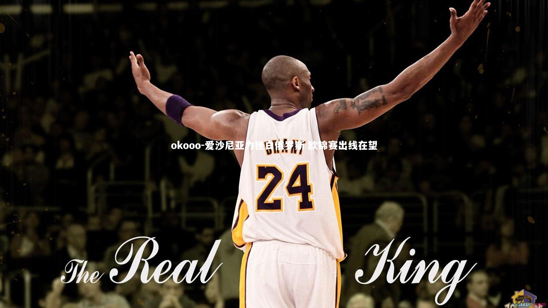 爱沙尼亚力挫白俄罗斯 欧锦赛出线在望