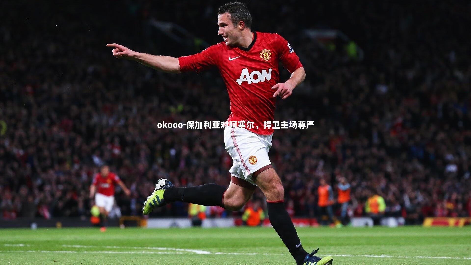 保加利亚对阿塞尔，捍卫主场尊严